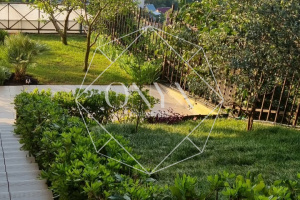 Изображение 24