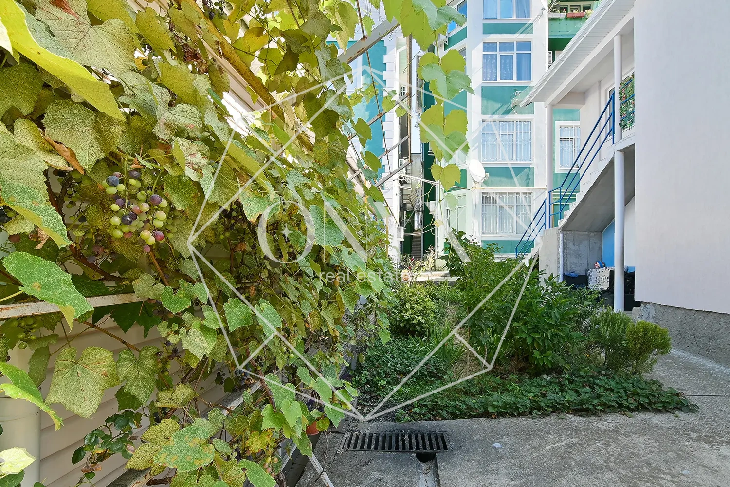 Изображение 15