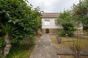 Дом с участком 