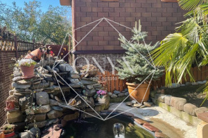 Изображение 11