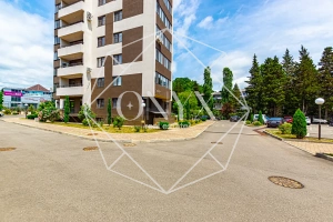 Изображение 71