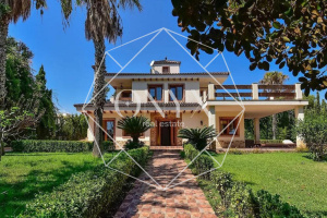 Изображение 16