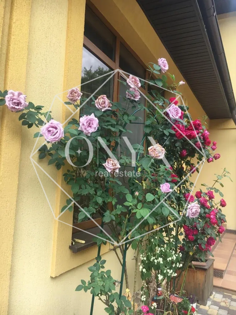 Изображение 23