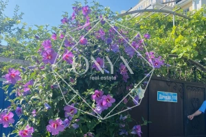 Изображение 10