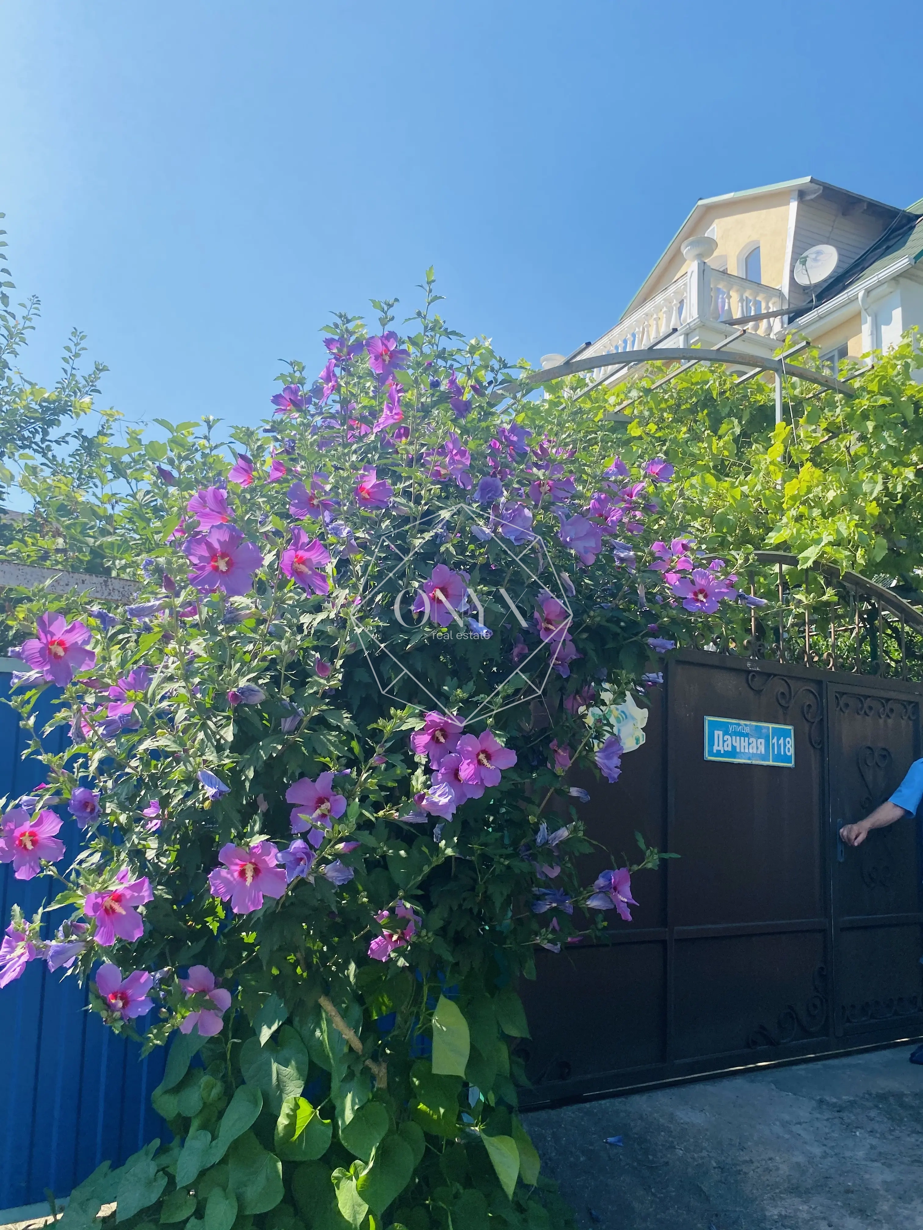 Изображение 10