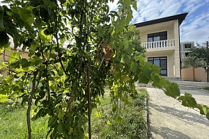 Хорошее предложение по хорошей цене