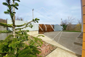 Изображение 15