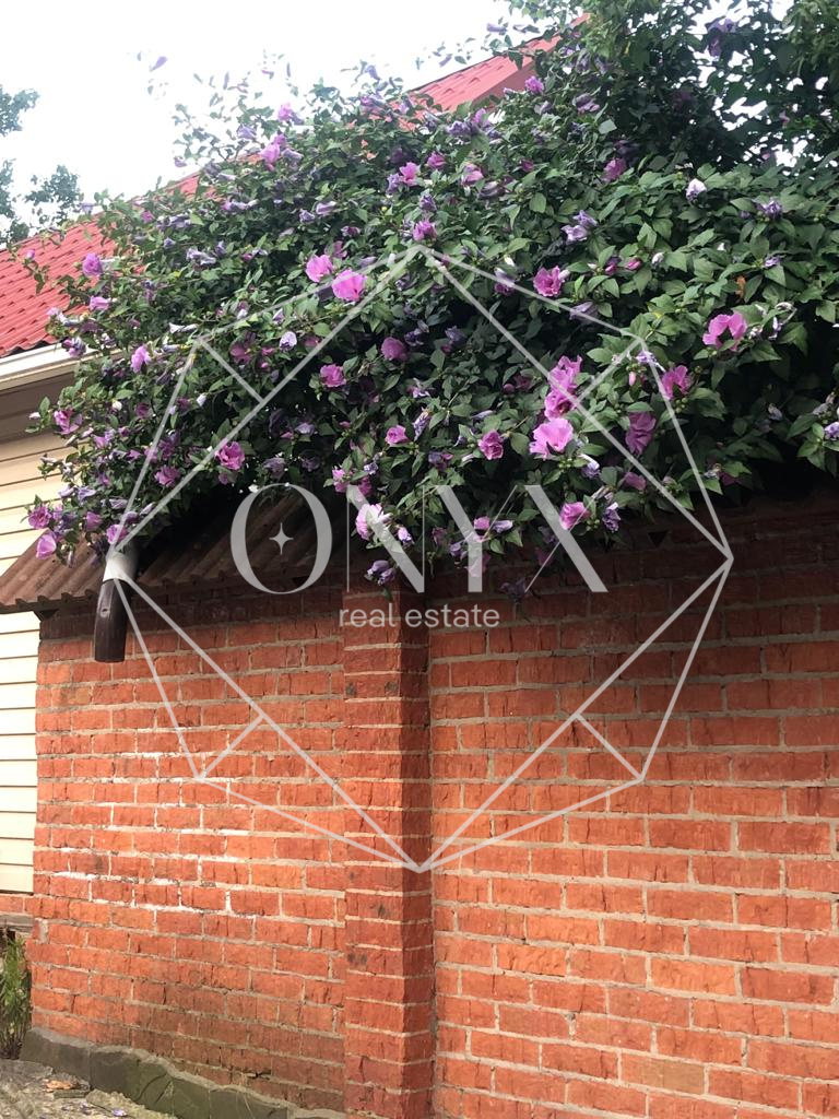 Изображение 16