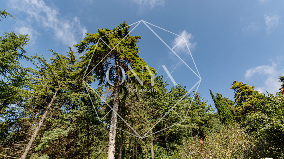 Изображение 17