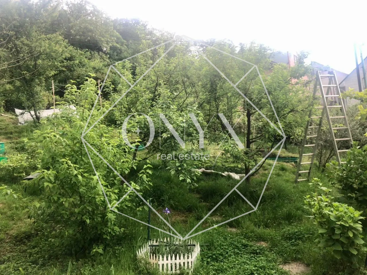 Изображение 9