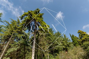 Изображение 17