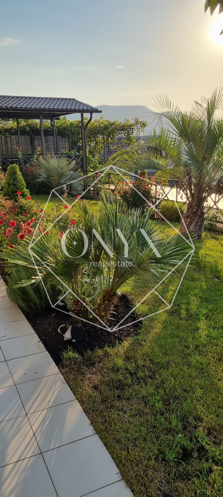 Изображение 23