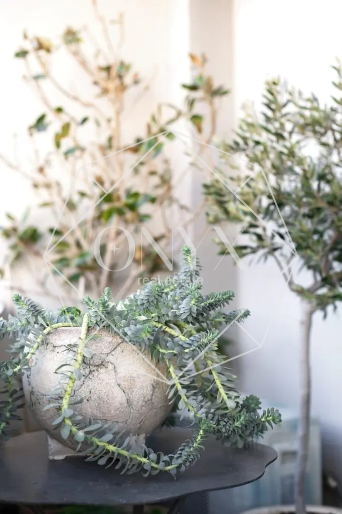 Изображение 22