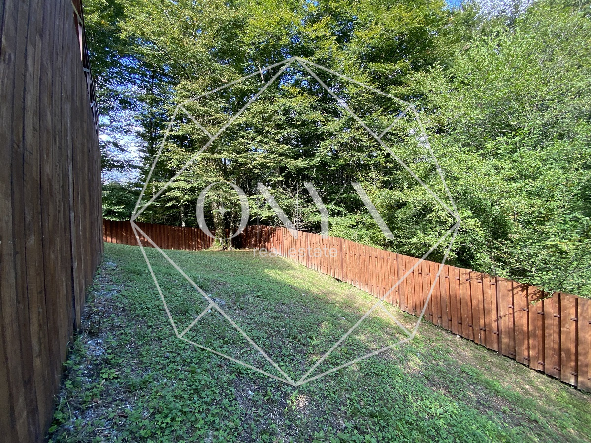 Изображение 13