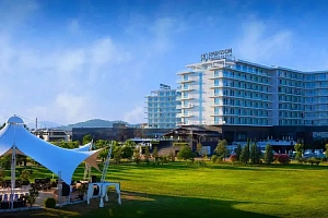 Доходный бизнес в центре Сириуса 