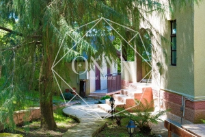 Изображение 13