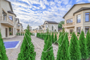 Изображение 7