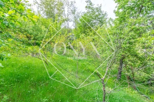 Изображение 14