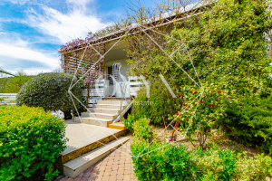 Изображение 21