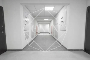 Изображение 12