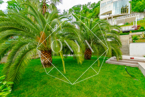 Изображение 26