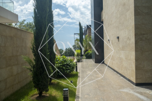 Изображение 9