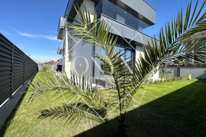 Изображение 11