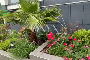 Изображение 11