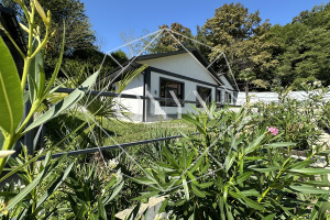 Изображение 12