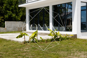 Изображение 7