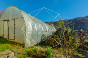 Изображение 8