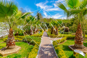 Изображение 8