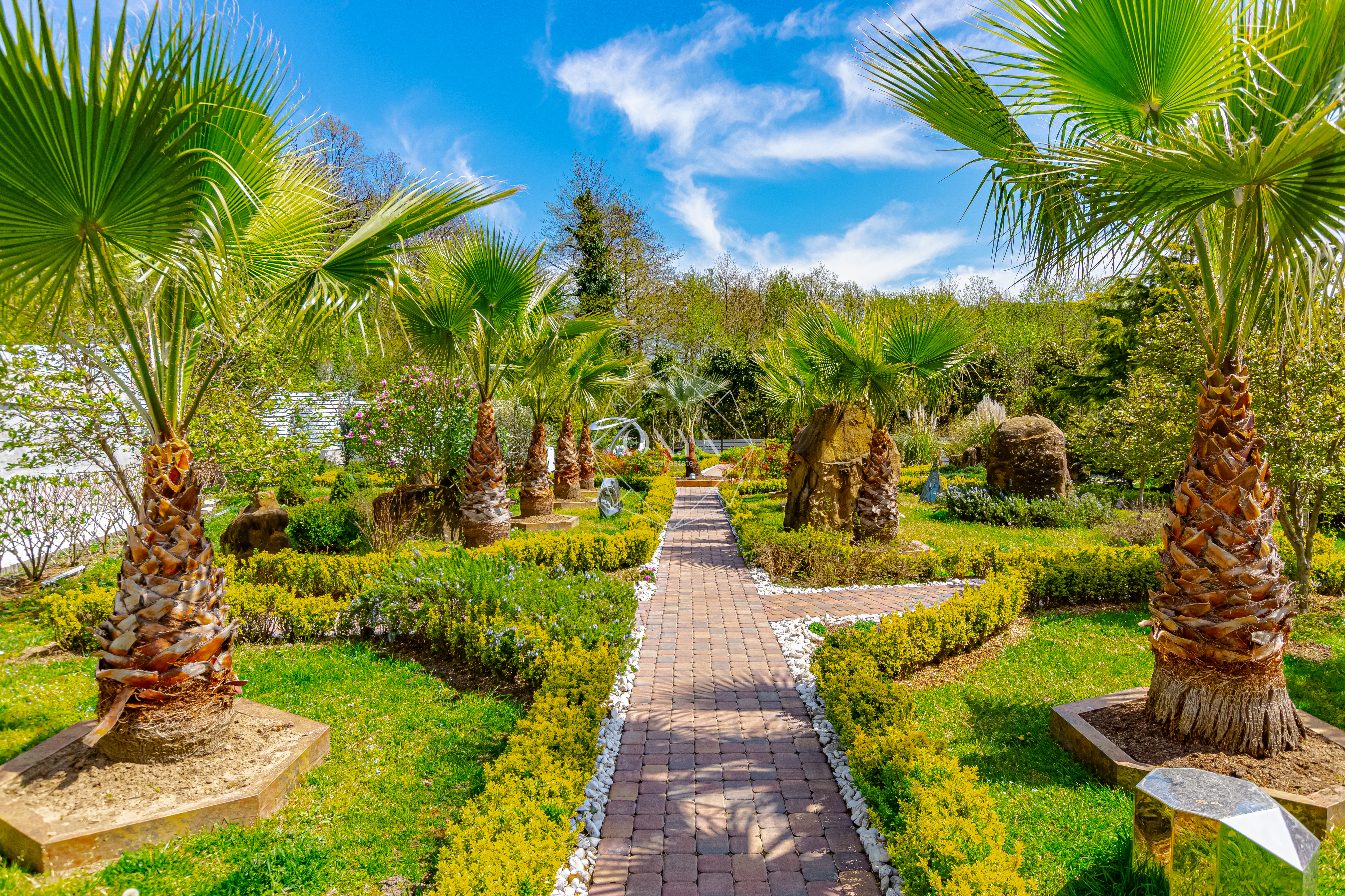 Изображение 8