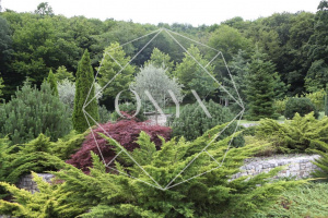 Изображение 9