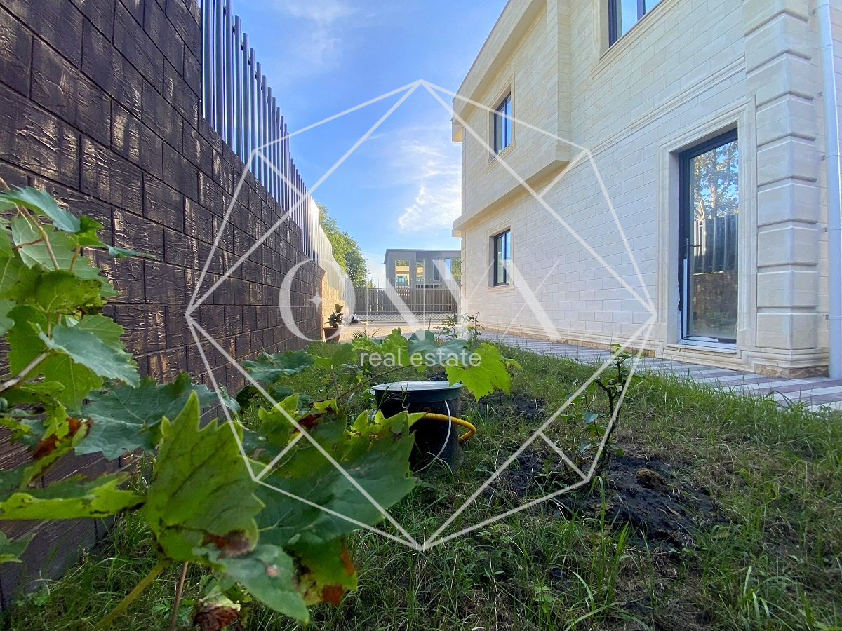 Изображение 12