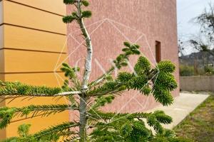 Изображение 10