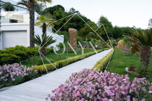 Изображение 14