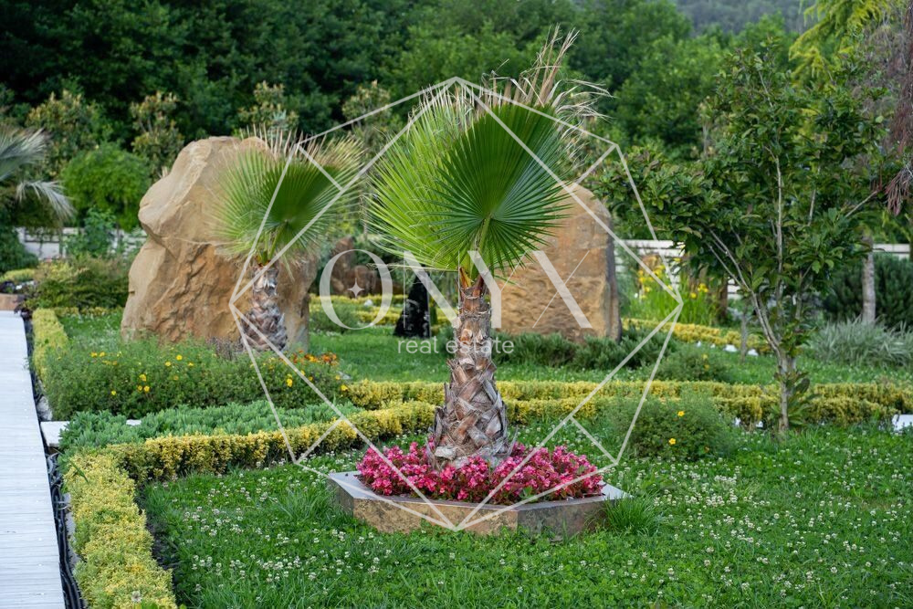 Изображение 16