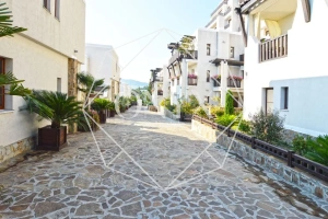 Изображение 14