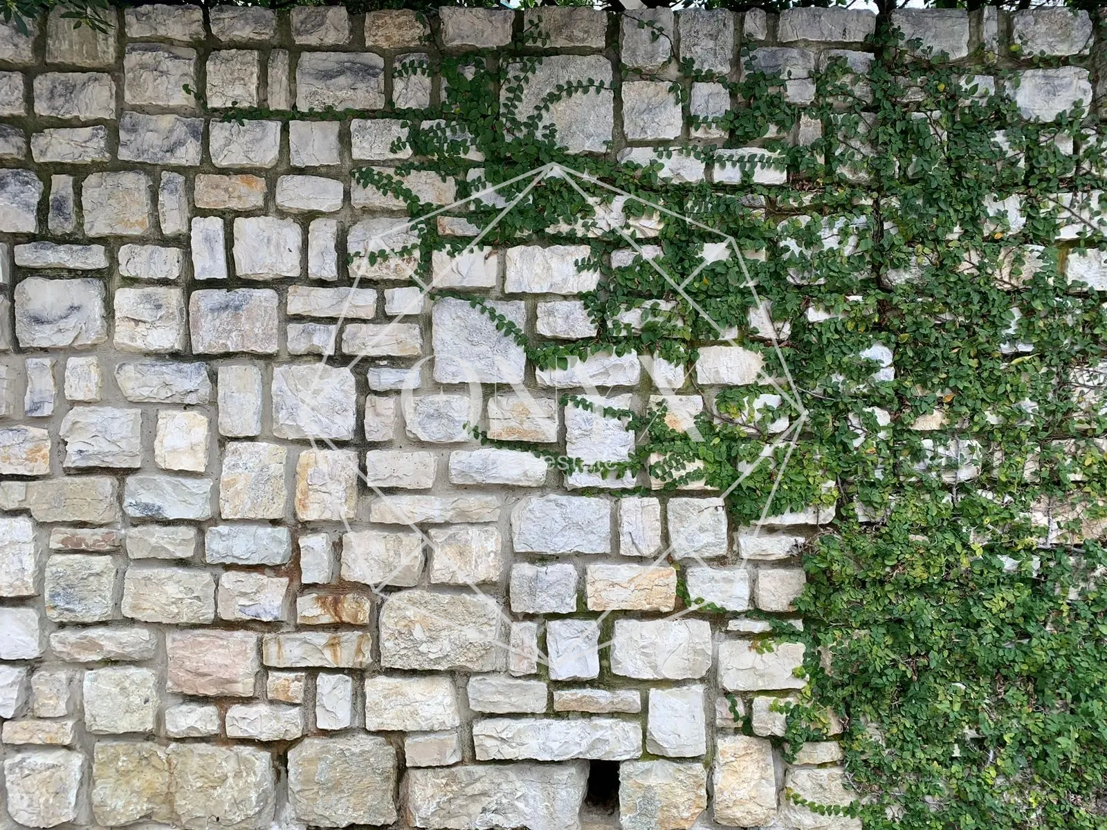 Изображение 9