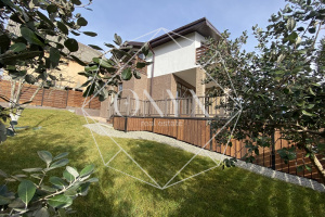 Изображение 24