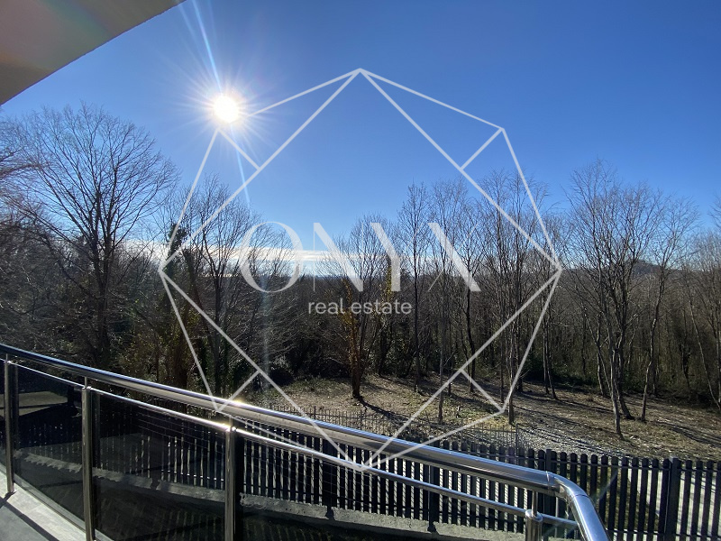 Изображение 11