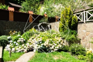 Изображение 33