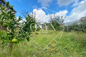 Изображение 24