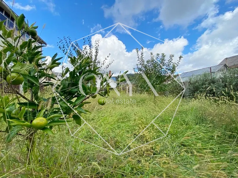 Изображение 24