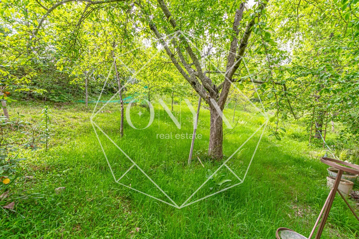 Изображение 13