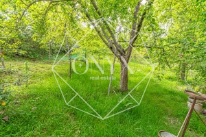 Изображение 13