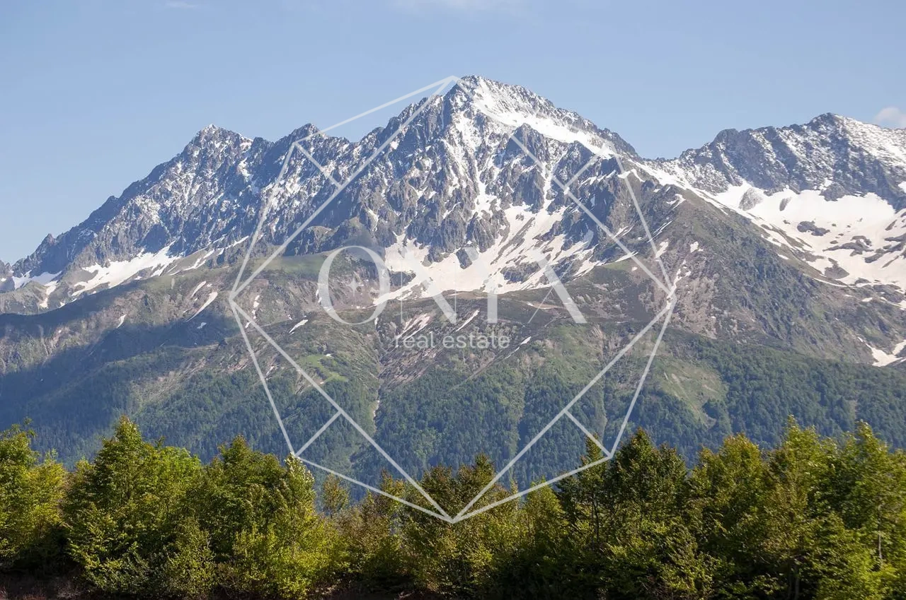 Изображение 12