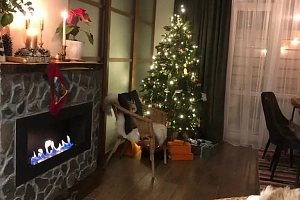 Пейзажи с окна