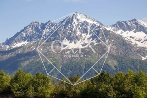 Изображение 12